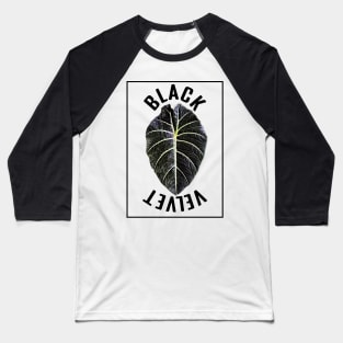 Alocasia Black Velvet Baseball T-Shirt